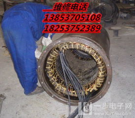 宁阳大型电机与高压直流励磁电机维修服务